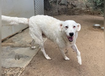 CANNONAU - freundlich & menschenbezogen