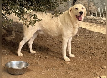 CANNONAU - freundlich & menschenbezogen