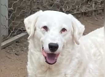 CANNONAU - freundlich & menschenbezogen