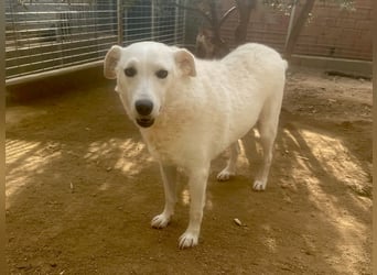 AGOSTINA - bildhübsch und freundlich