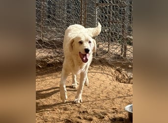 CANNONAU - freundlich & menschenbezogen