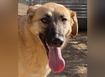 MEG - sie braucht aktive Menschen