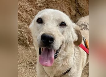 CHICCO - er braucht Menschen um sich