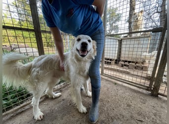 GAETANO - so schön wie ein Coverboy GAETANO - so schön wie ein Coverboy