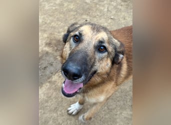 DANNY - sensibel & menschenbezogen