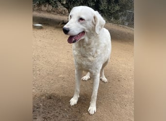 CANNONAU - freundlich & menschenbezogen