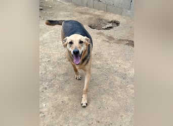 ROSALIE - unser toller Wonneproppen