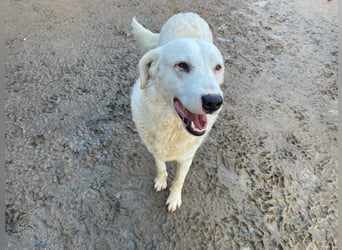 CANNONAU - freundlich & menschenbezogen