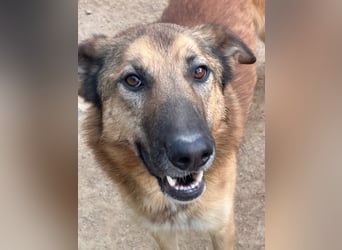 DANNY - sensibel & menschenbezogen