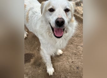 GAETANO - so schön wie ein Coverboy GAETANO - so schön wie ein Coverboy