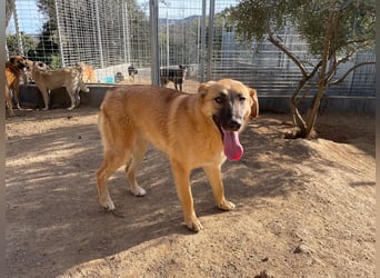 MEG - sie braucht aktive Menschen