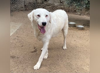 CANNONAU - freundlich & menschenbezogen