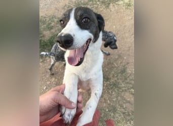 Sonnenschein Samantha wartet in 71522 Backnang