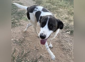 Sonnenschein Samantha wartet in 71522 Backnang