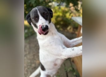 Sonnenschein Samantha wartet in 71522 Backnang