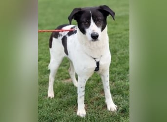 Sonnenschein Samantha wartet in 71522 Backnang