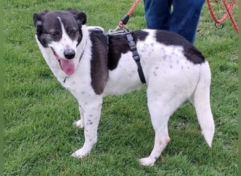 Sonnenschein Samantha wartet in 71522 Backnang