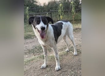 Sonnenschein Samantha wartet in 71522 Backnang