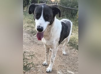 Sonnenschein Samantha wartet in 71522 Backnang