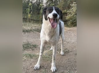 Sonnenschein Samantha wartet in 71522 Backnang