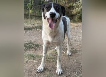 Sonnenschein Samantha wartet in 71522 Backnang