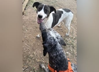 Sonnenschein Samantha wartet in 71522 Backnang