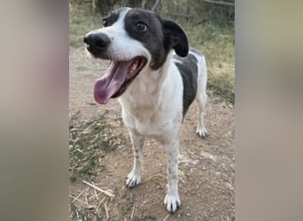 Sonnenschein Samantha wartet in 71522 Backnang