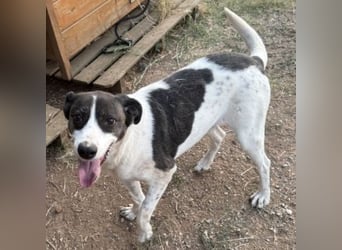 Sonnenschein Samantha wartet in 71522 Backnang