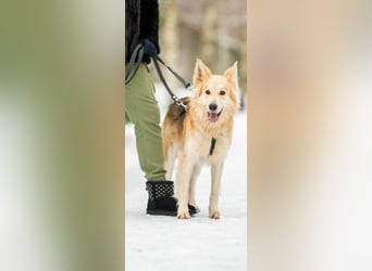 Hübscher RICH möchte ländlich wohnen