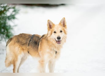 Hübscher RICH möchte ländlich wohnen