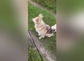 Hübscher RICH möchte ländlich wohnen