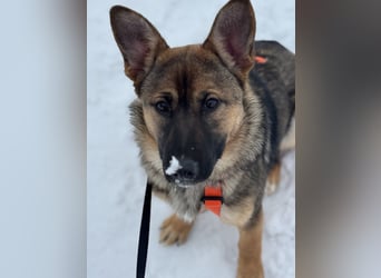 Aktive NARVA sucht eine liebevolle Familie