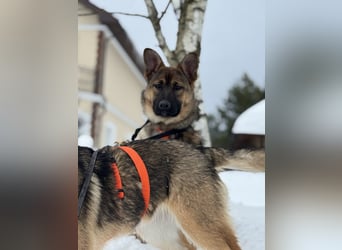 Aktive NARVA sucht eine liebevolle Familie