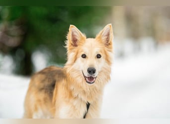 Hübscher RICH möchte ländlich wohnen