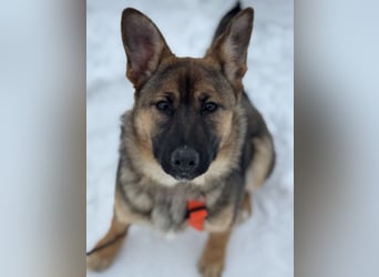 Aktive NARVA sucht eine liebevolle Familie