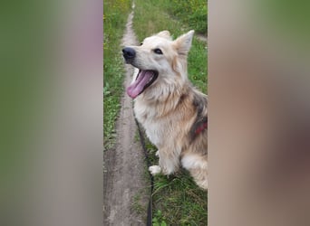 Hübscher RICH möchte ländlich wohnen