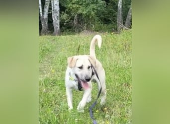 Lustiger NARZIS sucht sein Zuhause für immer