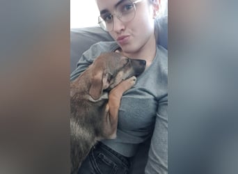 Goldige Burita will eine eigene Familie