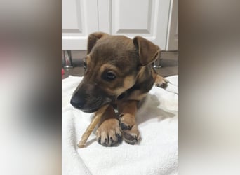 Goldige Burita will eine eigene Familie