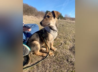 Goldige Burita will eine eigene Familie