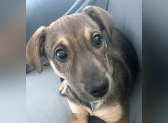 Goldige Burita will eine eigene Familie