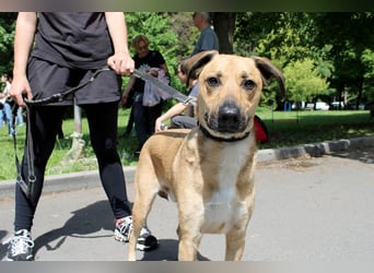 Großer Spike sucht erfahrene Familie