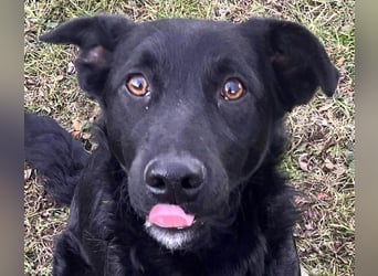 Hübsche Margo sucht ihr Körbchen