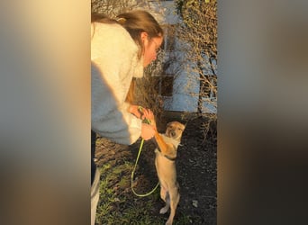 Goldige Burita will eine eigene Familie