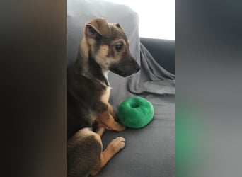 Goldige Burita will eine eigene Familie