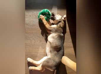 Goldige Burita will eine eigene Familie