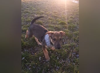 Goldige Burita will eine eigene Familie