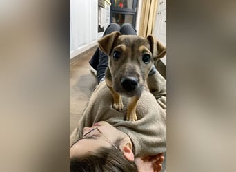 Goldige Burita will eine eigene Familie