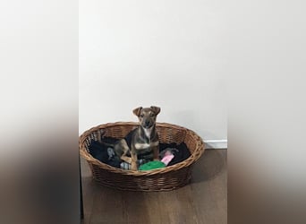 Goldige Burita will eine eigene Familie