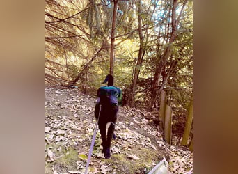 Aktiver Rollo sucht liebevolle und konsequente Menschen